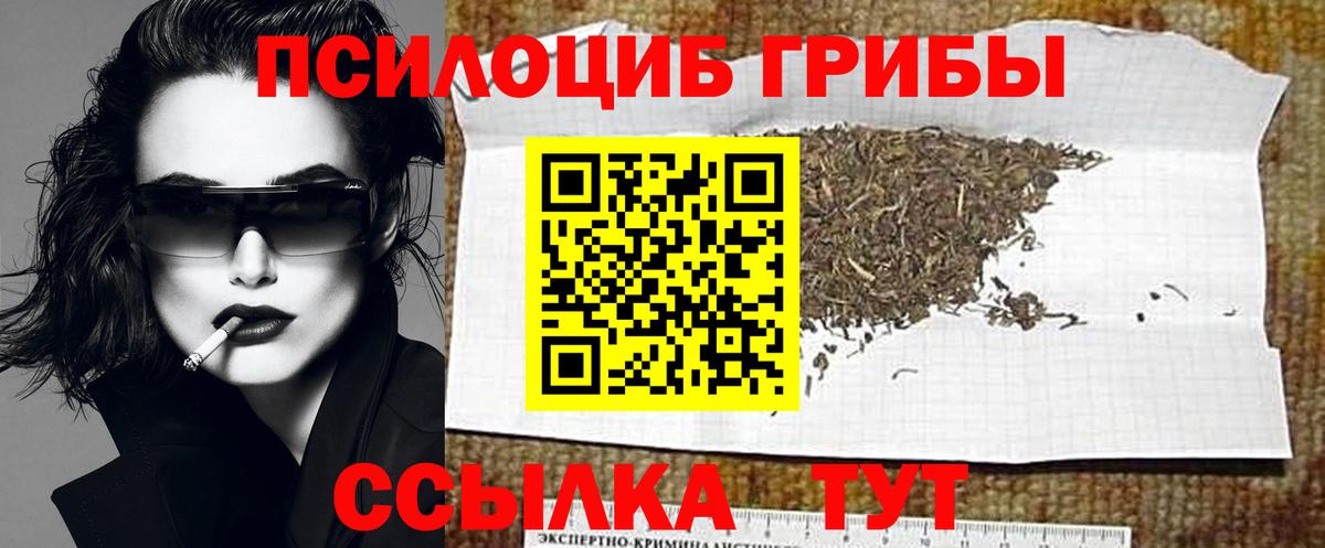 Галлюциногенные грибы мицелий  Вход с VPN  Нальчик  купить закладку  Псилоцибиновые грибы Psilocybe 